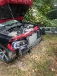 IMG_9688.jpeg