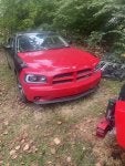 IMG_9690.jpeg